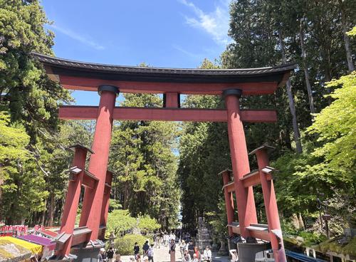 写真 2026-05-05 11 46 53.jpg