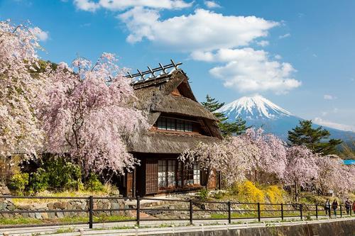 gallery_spring_004.jpg