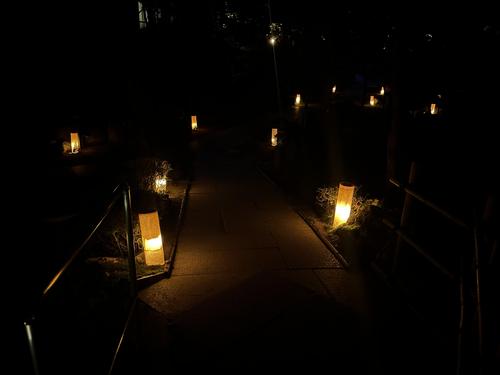 20260612b (8).JPG