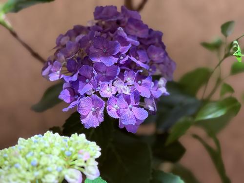 写真 2026-06-09 14 55 46.jpg