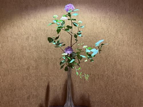 写真 2026-06-09 14 55 22.jpg