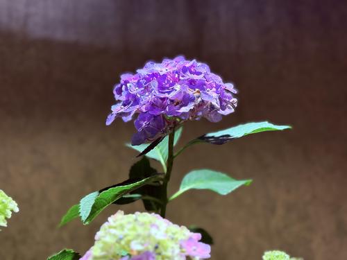 写真 2026-06-09 14 55 37.jpg
