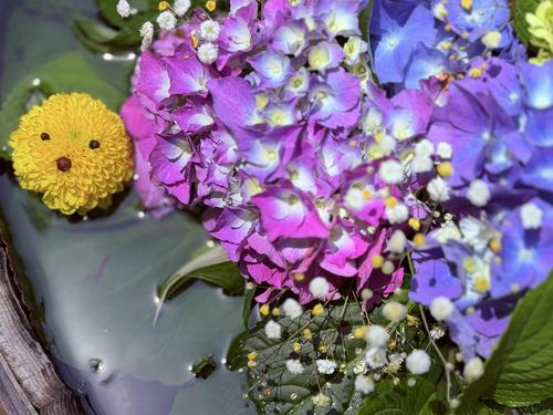 写真 2026-06-17 11 11 06.jpg